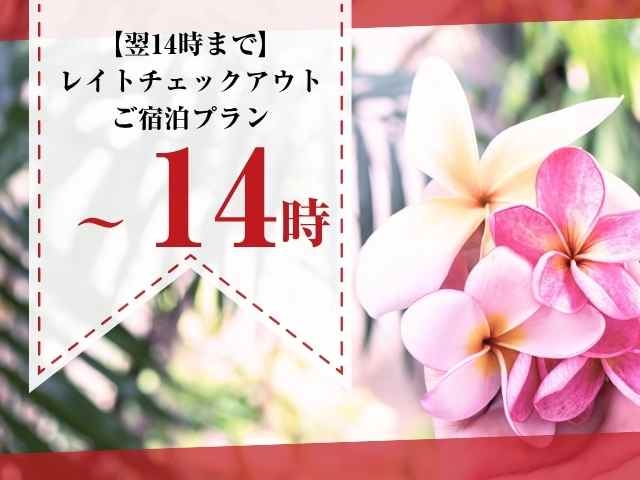 【遅めのチェックアウト】18時から翌14時禁煙プリティタイプレイトチェックアウトご宿泊プラン(日～金)