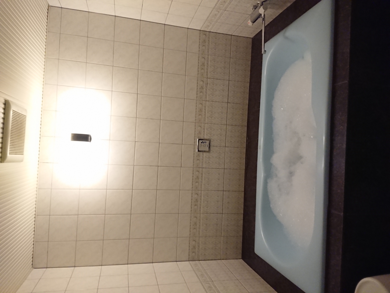 年末年始特別期間20時チェックイン(食事なし)ジェットバス付Bタイプ