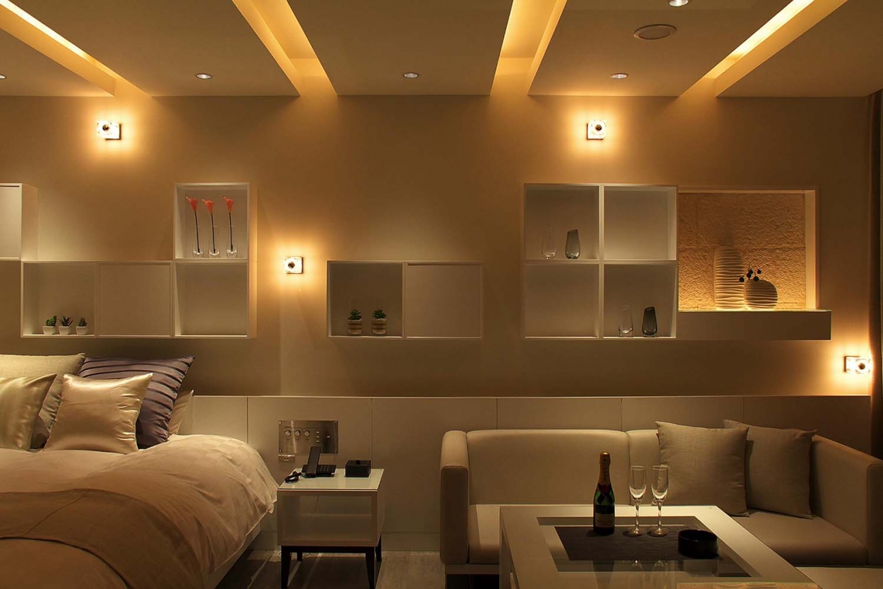 SUITE ROOM【SMOKING】素泊まりプラン／15時～翌11時までご利用OK