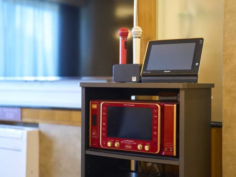 【F/G TYPE】カラオケ最強！パーティープラン（素泊まり）／19:00in～翌11:00out【全室人工温泉付】