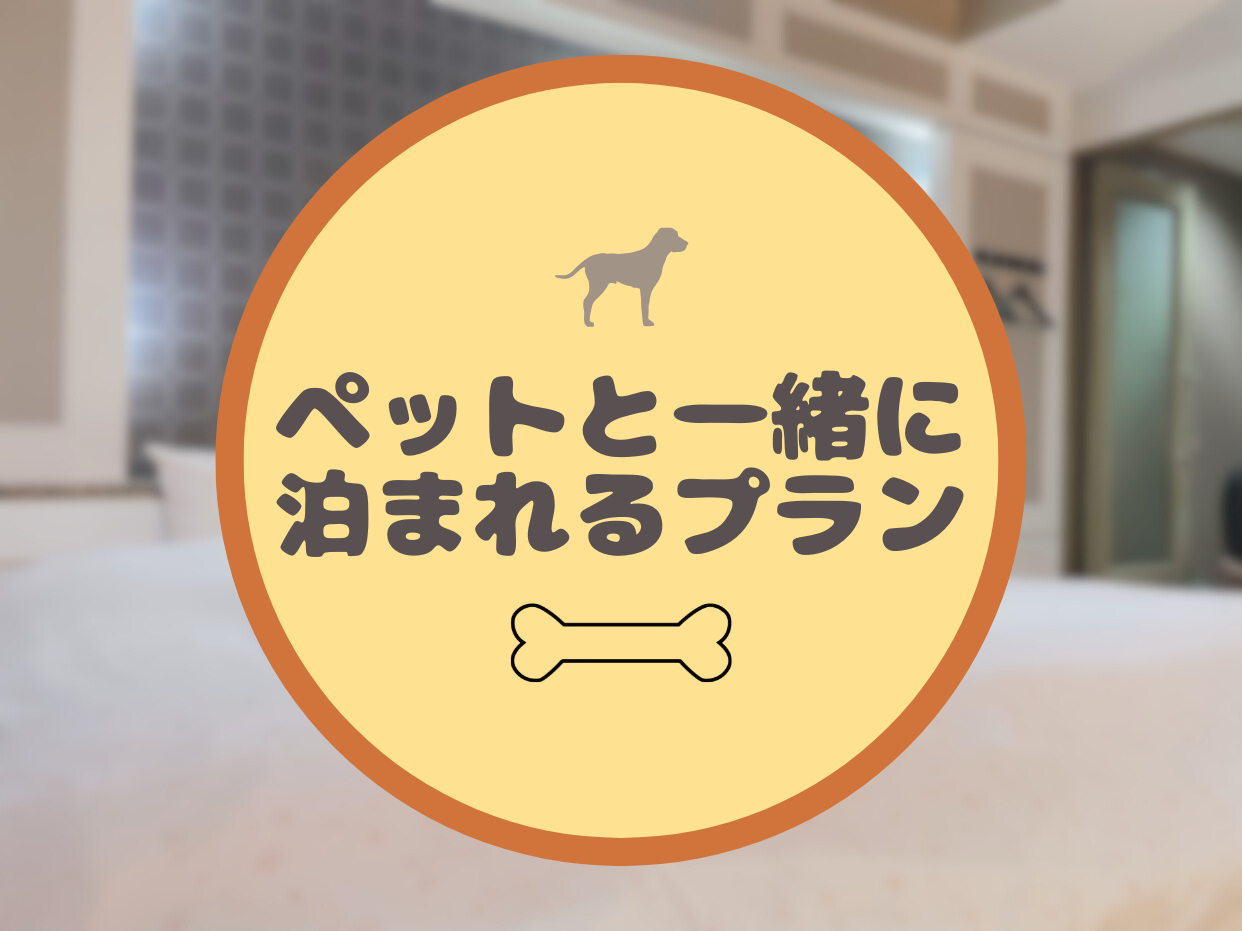 【わんちゃんと一緒に！】24時間滞在可能な素泊まりプラン