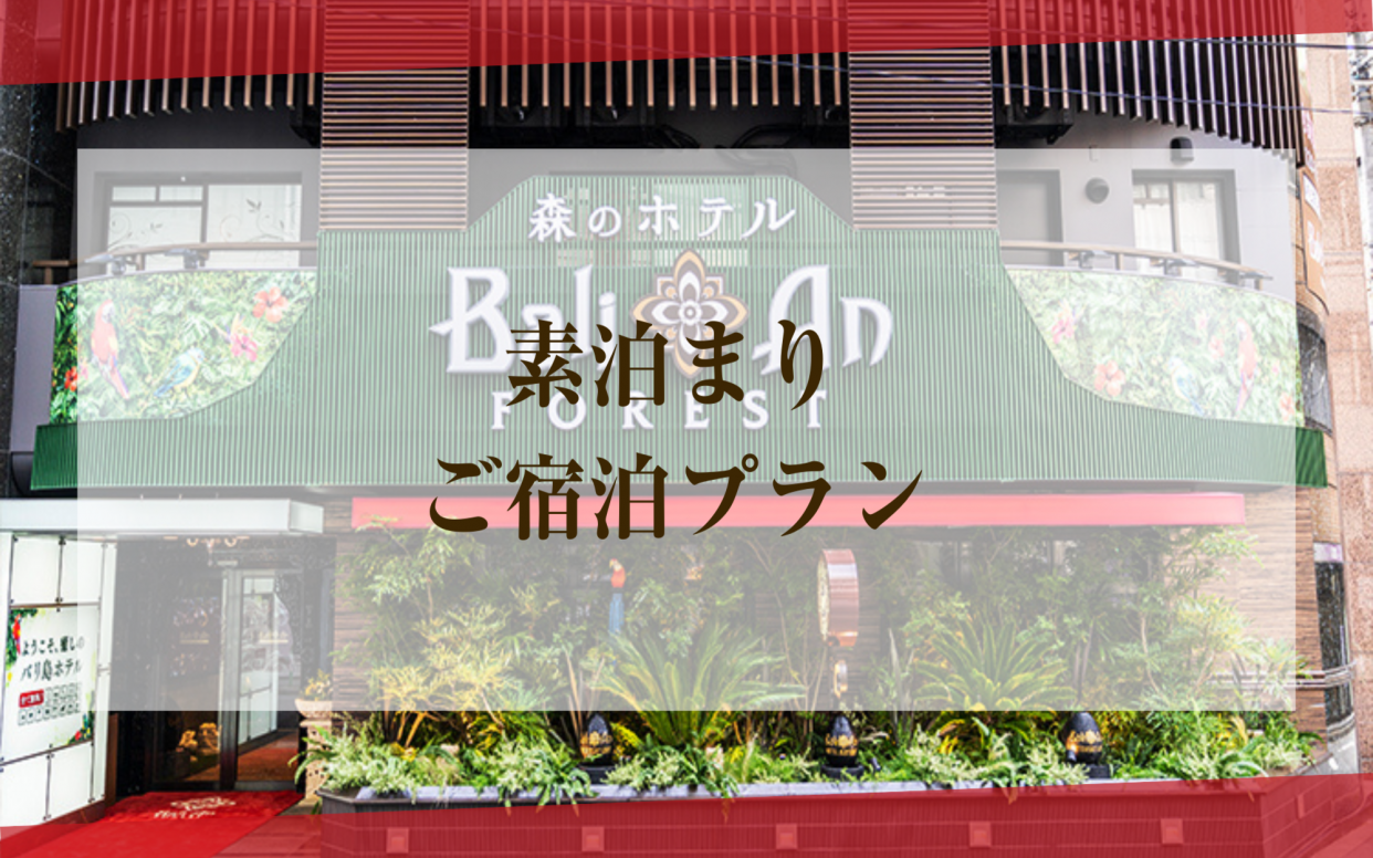 スタンダードご宿泊プラン(スーペリア喫煙)