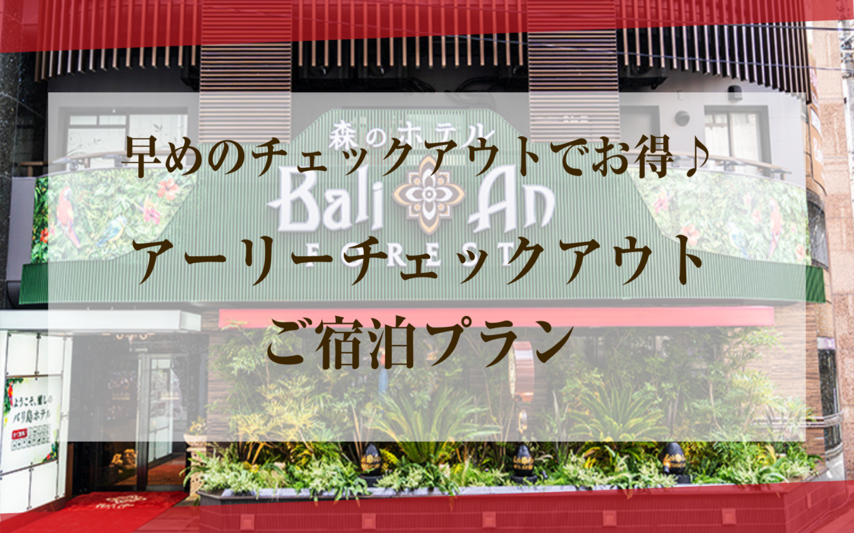 【翌朝9時までのご利用】早起きアーリーチェックアウトご宿泊プラン(コンフォート喫煙)