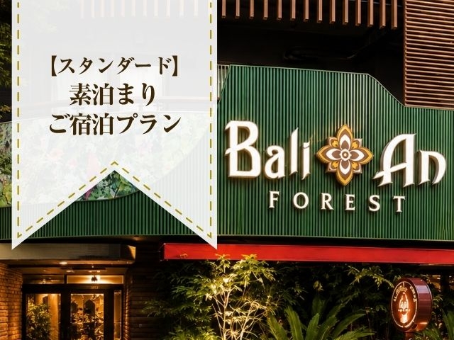 【スタンダード】ご宿泊プラン22時～（日～木）(コンフォート喫煙)
